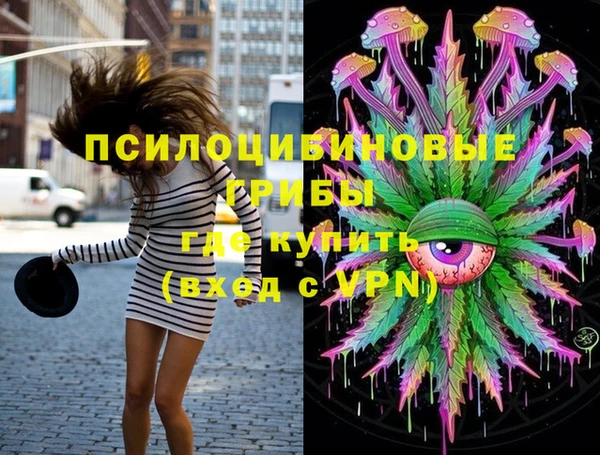 прущие крисы Белокуриха