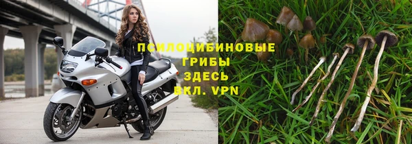 шишки Семикаракорск