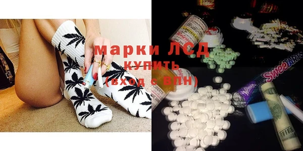 гидра Семилуки